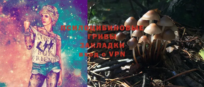 Псилоцибиновые грибы MAGIC MUSHROOMS  сайты даркнета Telegram  Гулькевичи  блэк спрут как войти 